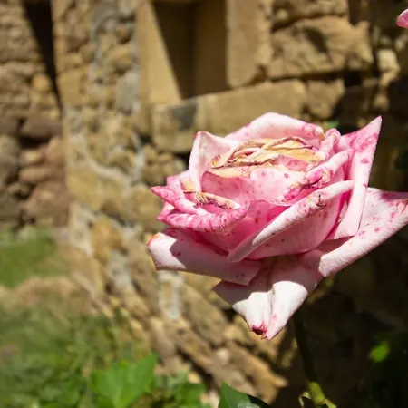 Semesterbostad Charmante Maison Calme Et Agreable Lunel *