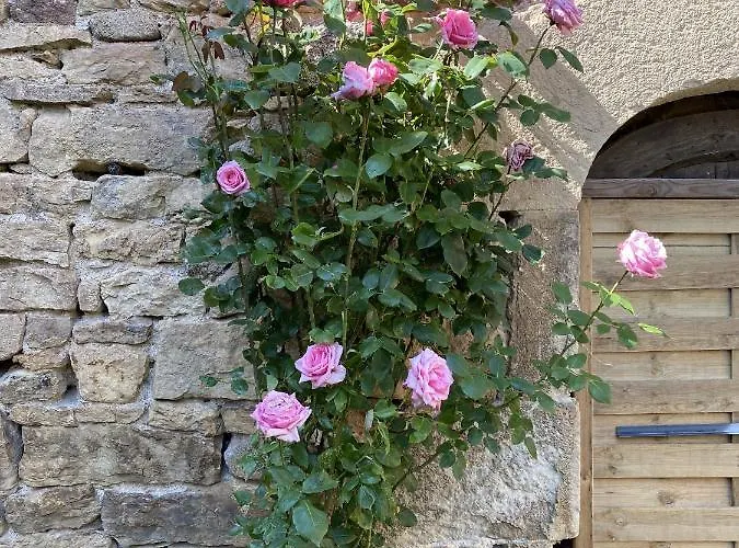 別荘 Charmante Maison Calme Et Agreable Lunel