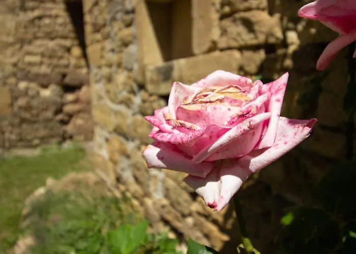 別荘 Charmante Maison Calme Et Agreable Lunel *